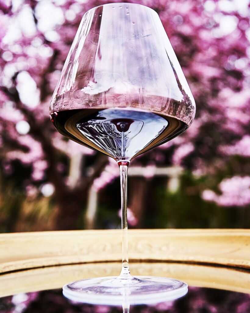 Zalto Burgundy Glass, Zalto, Zalto glass, Zalto glas, Zalto Denk&#39;art, Zalto wine glass